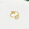 18K Gold Titanium steel ring